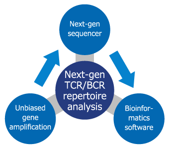 TCR/BCR Repertoire Analysis, Our Technologies